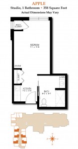 Apple • Memory Care