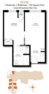 Plum • Memory Care