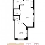 Chestnut • Apartment Living