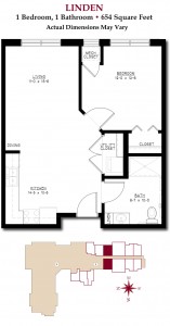 Linden • Apartment Living